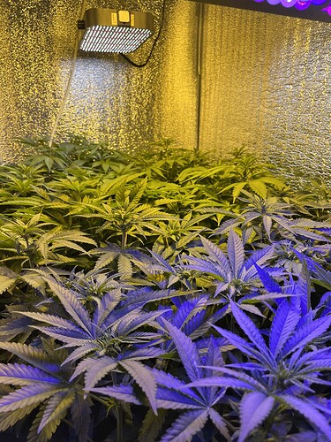 Growreport Bild 2