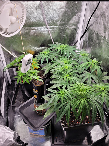 Growreport Bild 8