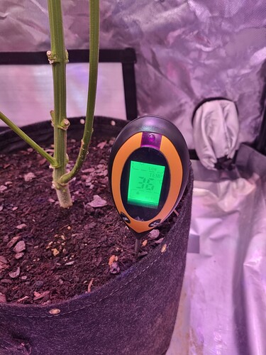 Growreport Bild 1