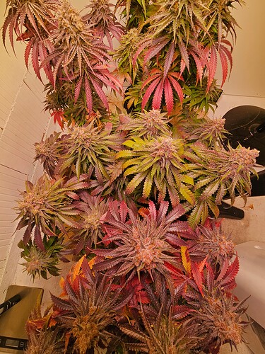 Growreport Bild 17
