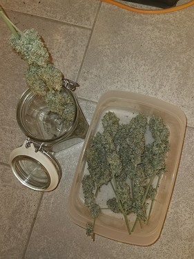 Growreport Bild 12