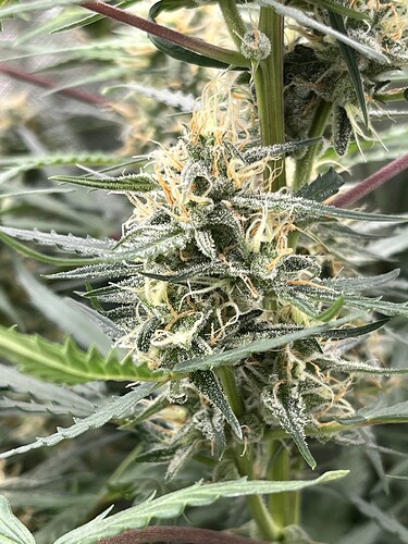 Growreport Bild 18