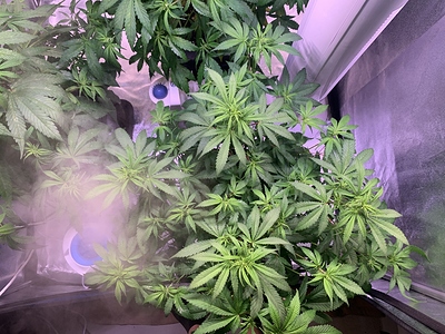 Growreport Bild 5
