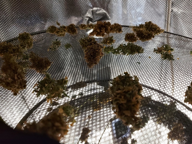 Growreport Bild 1