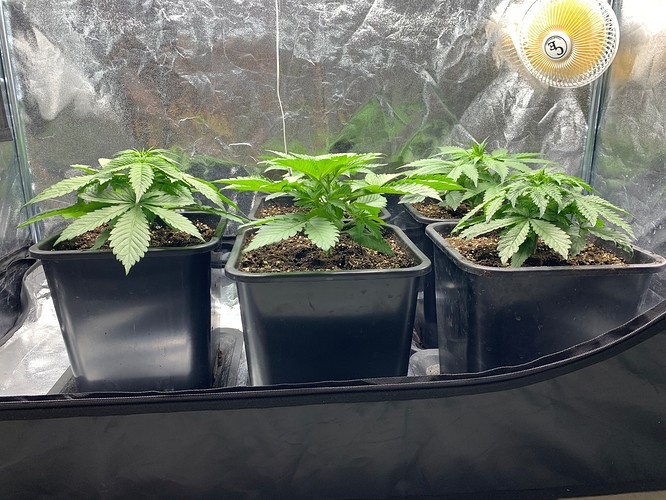 Growreport Bild 10