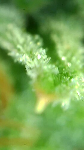 Growreport Bild 24