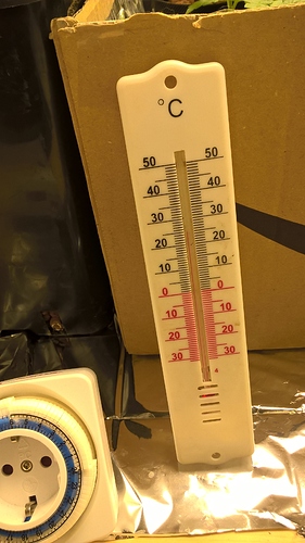 Growreport Bild 10