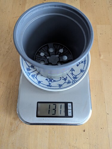 Growreport Bild 31