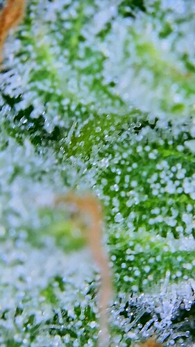 2023_01_13_11_58_25_215