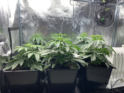 Growreport Bild 18
