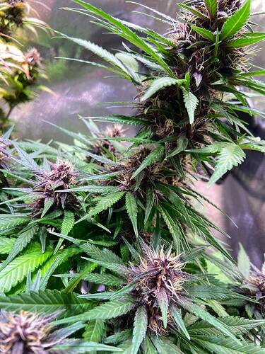 Growreport Bild 10