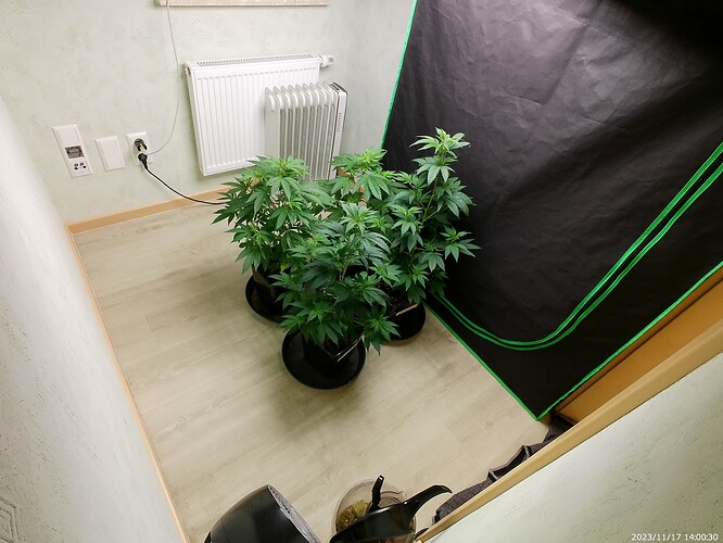 Growreport Bild 12