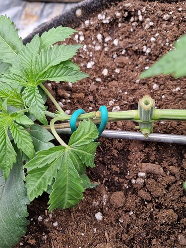 Growreport Bild 21