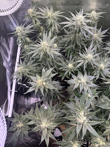 Growreport Bild 23