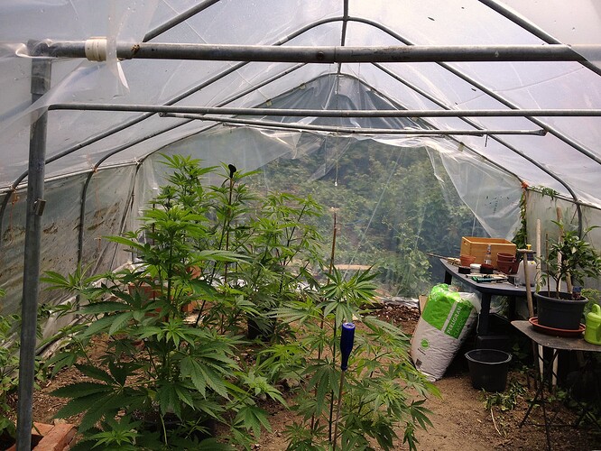 069_SturmwarnungPoly_03