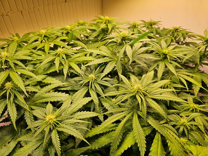 Growreport Bild 14