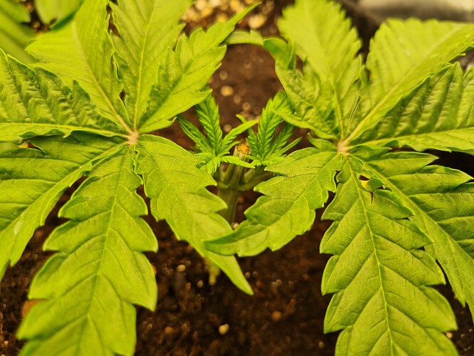 Growreport Bild 26