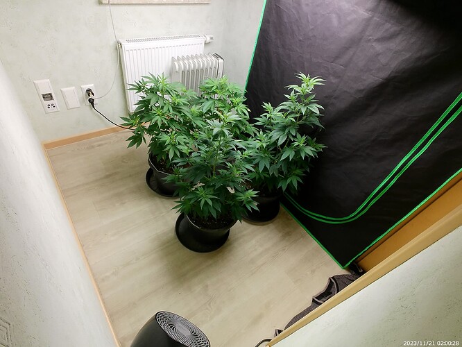 Growreport Bild 18