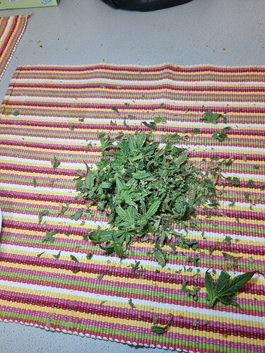 Growreport Bild 25