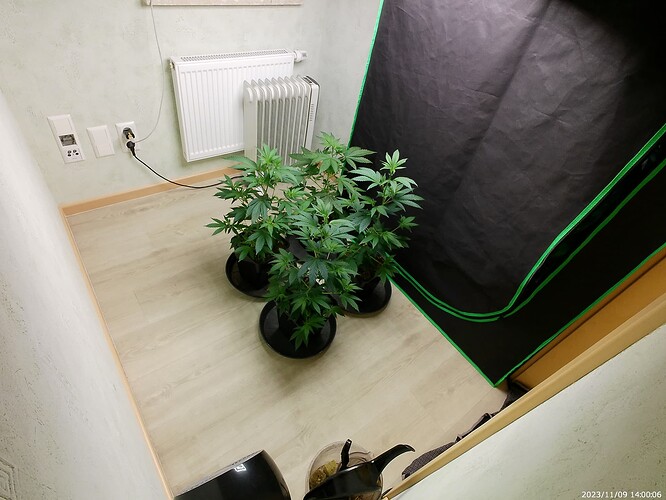 Growreport Bild 5