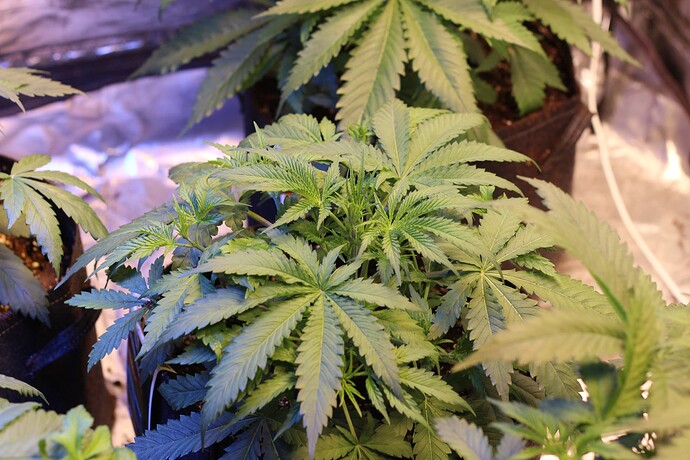 Growreport Bild 23