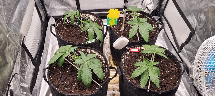 Growreport Bild 11