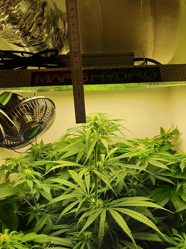 Growreport Bild 4