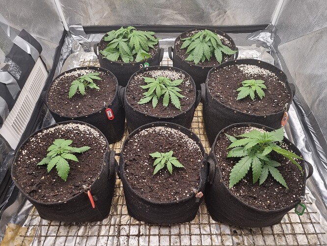 Growreport Bild 22