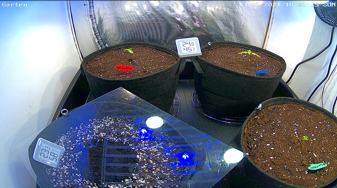 Growreport Bild 6