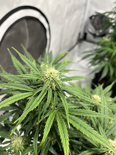Growreport Bild 24