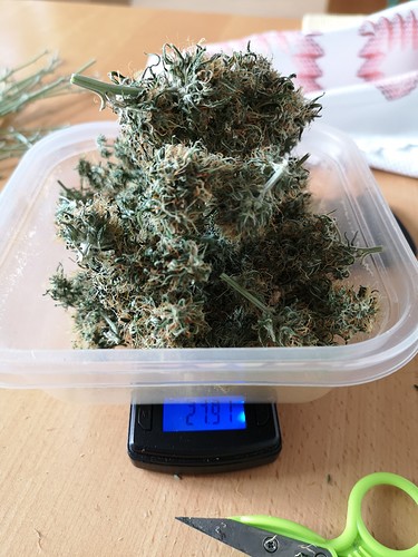 Growreport Bild 15