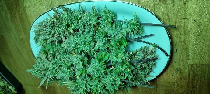 Growreport Bild 11