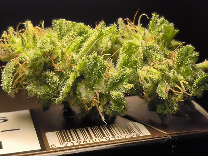 Growreport Bild 5
