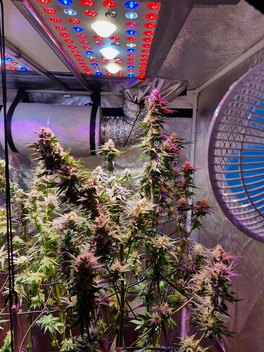 Growreport Bild 15