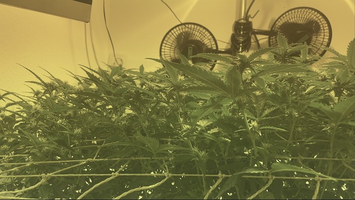 Growreport Bild 12