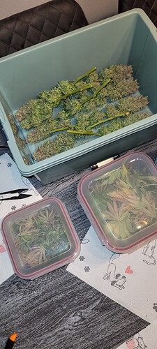 Growreport Bild 5