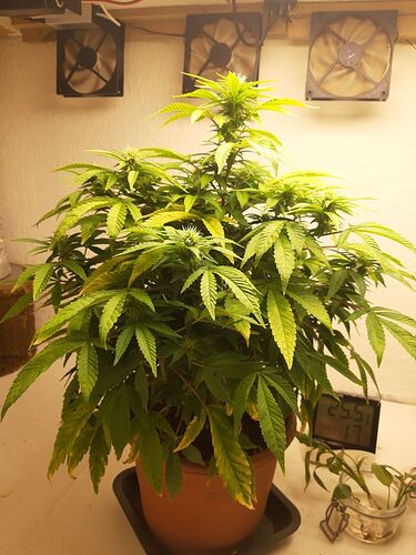Growreport Bild 6