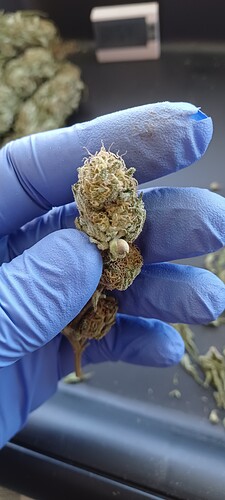 Growreport Bild 9
