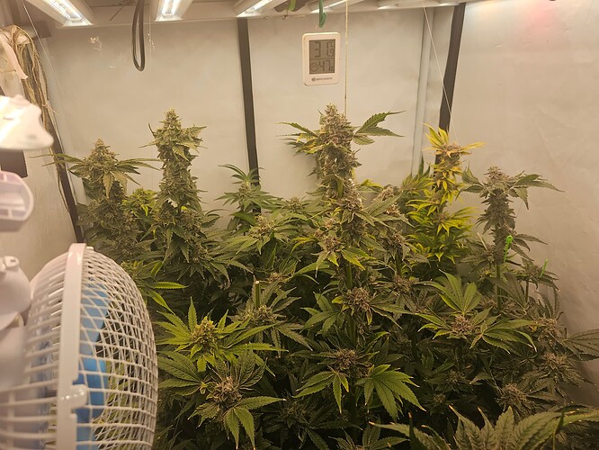 Growreport Bild 2