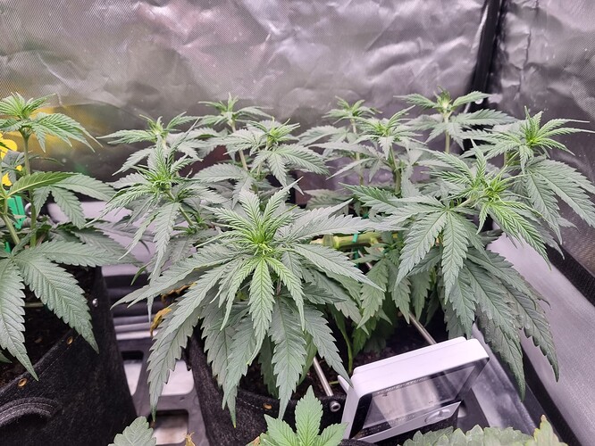 Growreport Bild 11