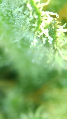 Growreport Bild 22