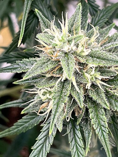 Growreport Bild 11