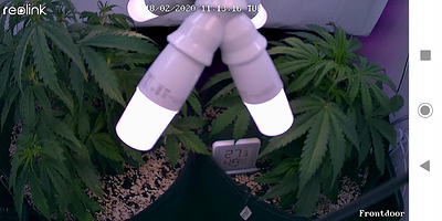 Growreport Bild 19