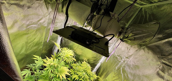 Growreport Bild 2