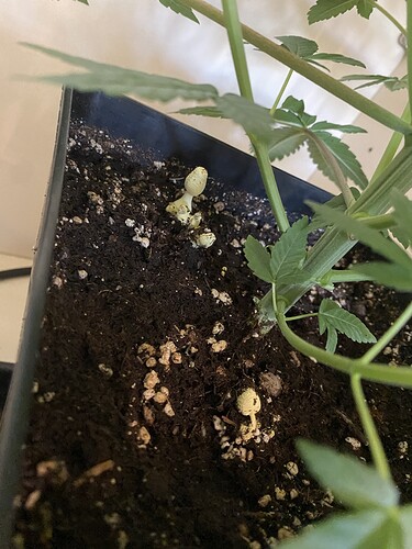 Growreport Bild 10