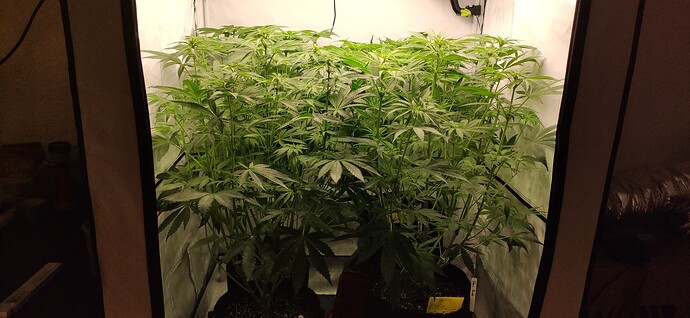 Growreport Bild 10