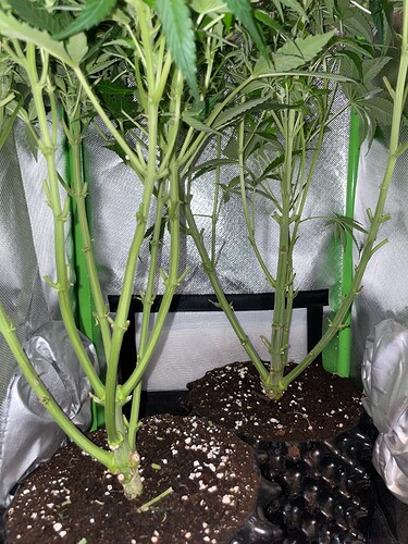 Growreport Bild 17