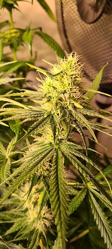 Growreport Bild 12