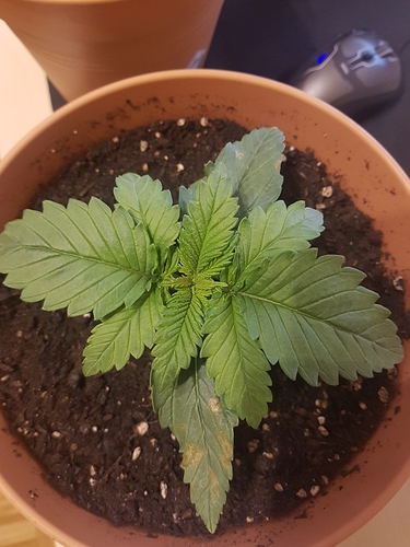 Growreport Bild 15