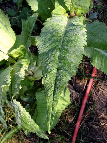 070_SiebterSiebter_15